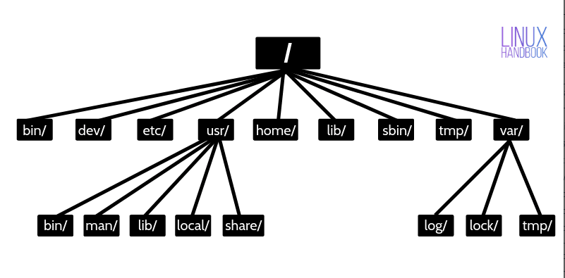 structure des dossiers